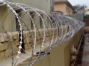 What is concertina razor wire coil manufacturer.